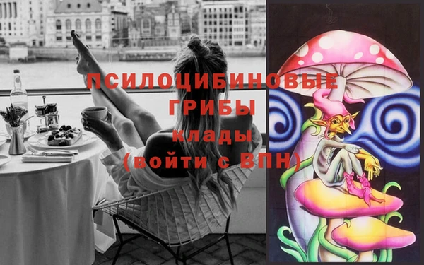 метадон Алексин